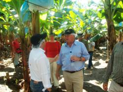 Frutera, farm, Canadian Ambassador, Guatemala, CSR, banana production process, banana plantations, Escuintla